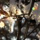 Illustration for article titled Shooting Challenge: Bokeh, Gallery 3